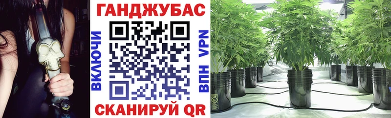 Бошки Шишки тримм  darknet официальный сайт  Закаменск 